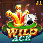 Wild Ace slot on 1bet